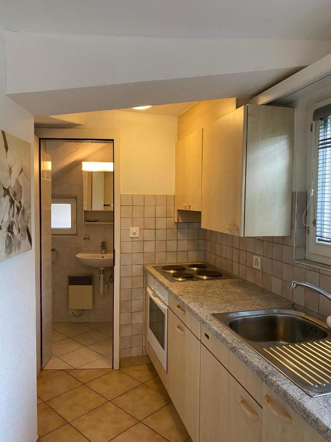 Casa Sibylle Studio - Piccolo Paradiso Minusio Bagian luar foto